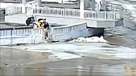 Челябинские подростки спасли собаку, оказавшуюся на льдине