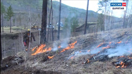 В Бурятии пикник в лесу стал причиной возгорания