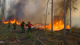 65 лесных пожаров ликвидировали в России за минувшие сутки