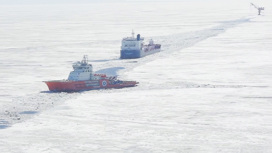 Капитаны Арктики: как обеспечивается вывоз нефти
