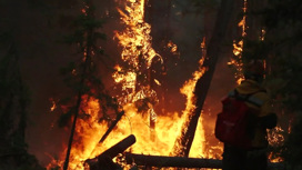 Восток России задыхается в дыму лесных пожаров