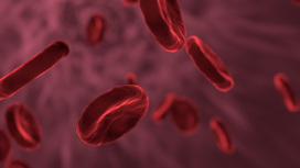COVID-19 вызывает долгосрочные изменения в крови пациентов