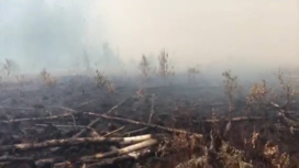 Километры выжженной земли: Краснокамск накрыл сильный смог