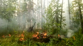 МЧС увеличит противопожарную группировку в Якутии