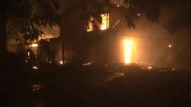 Лесные пожары в Греции: сожжены десятки домов, людей эвакуируют