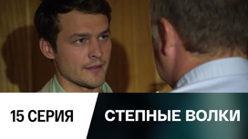 Серия 15