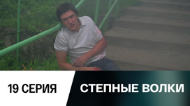 Серия 19
