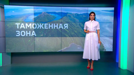 Подготовка к введению таможенной зоны на Курилах завершится к 1 сентября