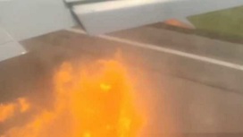 Столкновение самолета с двумя орлами на Кубе попало на видео
