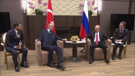 Путин и Эрдоган отметили вклад "Турецкого потока" в энергобезопасность ЕС