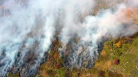 В России за сутки потушили 54 природных пожара