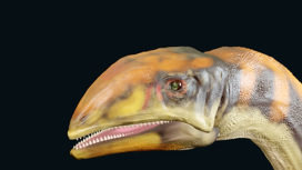Удивительный гренландский динозавр оказался предком самых больших наземных животных