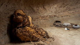 Мумия была обнаружена в погребальном сооружении к востоку от Лимы.
