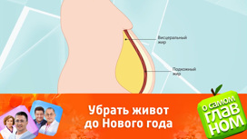 Сезон Похудения К Новому Году Открыт Сезон Похудения К Новому Году Открыт