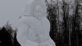 Ужасная Снегурочка из Бердска привлекла внимание в Интернете