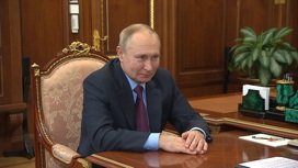 Встреча Владимира Путина с главой "Деловой России"