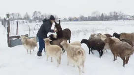Житель Саратовской области своими руками создал самый большой контактный зоопарк в регионе