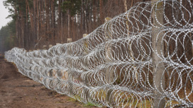 Польша возводит забор из колючей проволоки на границе с Россией