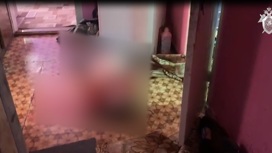 СК опубликовал видео с места убийства семьи под Омском