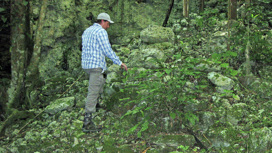 Исследователь Крис Бальзотти поднимается по древней лестнице, обнаруженной в воронке недалеко от Кобы.