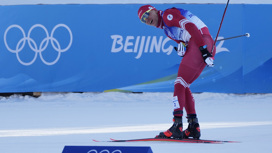 Вяльбе заявила об окончании международного сезона для лыжников