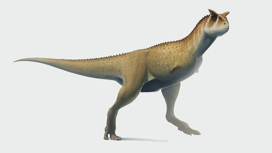 В Аргентине нашли безрукого динозавра, раскрывающего несколько важных секретов