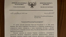 ЛНР и ДНР просят Путина помочь отразить киевскую агрессию
