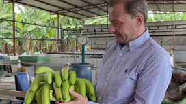 Эквадор не знает, как поставлять бананы в Россию