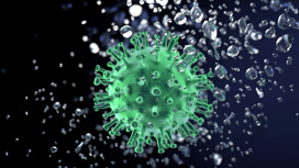 Следы коронавируса присутствуют в кале до 7 месяцев после болезни
