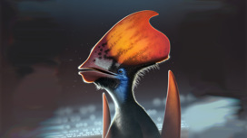 Вековой спор завершен: у птерозавров были перья