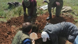 Школьники из Вольского района приняли участие в раскопках в Волгоградской области