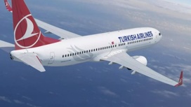 Летевший в Москву из Турции самолет из-за сбоя приземлился в Литве
