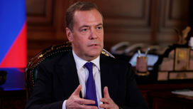 Медведев: Россия может использовать любое оружие для защиты Донбасса