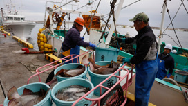 Санкции разоряют рыбопромышленность Японии