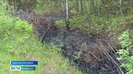 В Судогодских лесах обнаружены тонны мазута