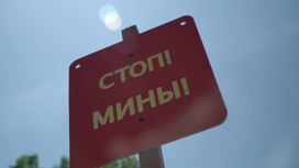 "Искандеры", "Калибры" и заградотряды ВСУ: что происходит в зоне спецоперации