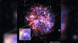 Рентгеновское изображение пульсара в облаке газа, оставшемся от взрыва сверхновой.