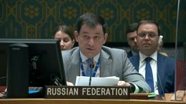 Совет безопасности ООН призвал расследовать инцидент в Кременчуге