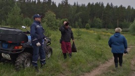 Ушли за грибами: три человека потерялись в лесах Челябинской области