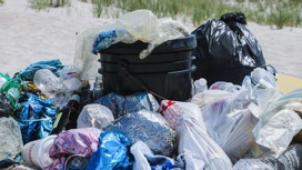 В Краснодаре будут ловить нелегальных мусорщиков