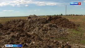 Жители села Лаишевского района задыхаются от зловония с полей