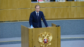 Денис Мантуров ответил на вопросы парламентариев