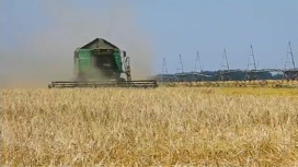 Минобороны: экспорт украинского зерна не должен использоваться для поставок оружия