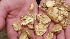 Участников подпольного трафика золота осудят за похищение и убийство