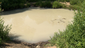 В Рекуше под Тутаевом нашли превышение фосфатов и аммиачного азота
