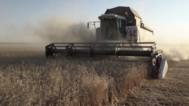 Россия готова увеличить экспорт пшеницы