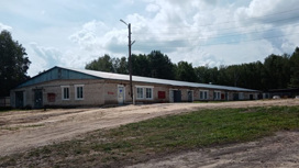 Приют в Шимановске уже принял своих первых четвероногих постояльцев
