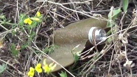 Москва направила в ООН данные о применении ВСУ мин "Лепесток"