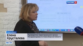 Главу новосибирского управления Росздравнадзора Елену Хрусталеву отправили под домашний арест