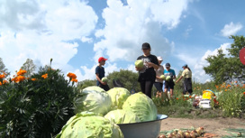 Ребята из Свободненского района летом трудятся на школьном огороде